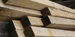 Air Dried Oak Beams
